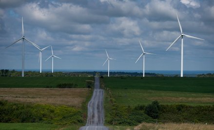 Politycy przed wyborami obiecują i czystą energię, i węgiel