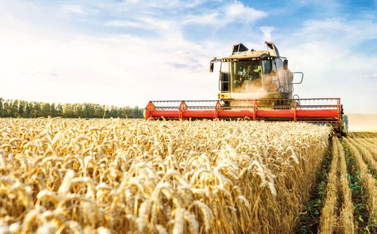 W rolnictwie AI wspiera optymalizację upraw, m.in. poprzez analizę warunków pogodowych