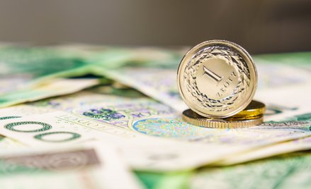 Złoty nadal trzyma fason