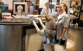 Nie obowiązują formalne ograniczenia dotyczące wchodzenia mieszkańców z pupilami