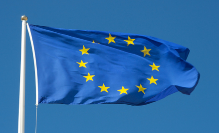 Dariusz Lasocki: Federalizacja czy europeizacja wyborów?