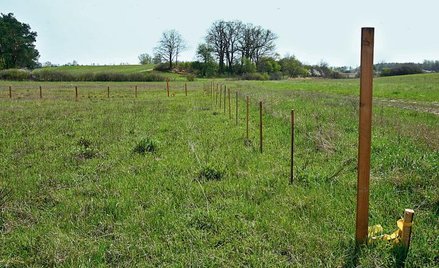 Kiedy teren nie jest objęty planem zagospodarowania, konieczne są warunki zabudowy