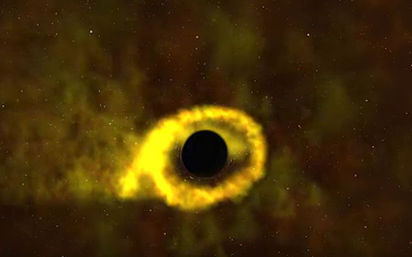 Pierwszy raz zobaczyliśmy jak czarna dziura pochłania gwiazdę