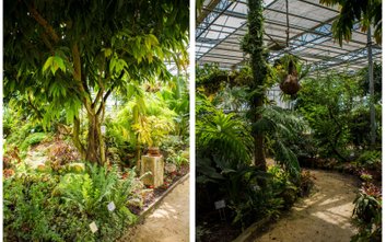 Ogród Botaniczny w Powsinie