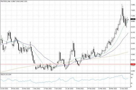 Notowania gazu ziemnego w USA – dane dzienne