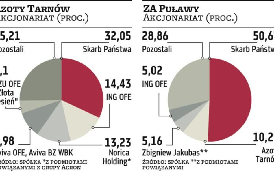 Tarnów może mieć tyle akcji Puław, ile zaplanował