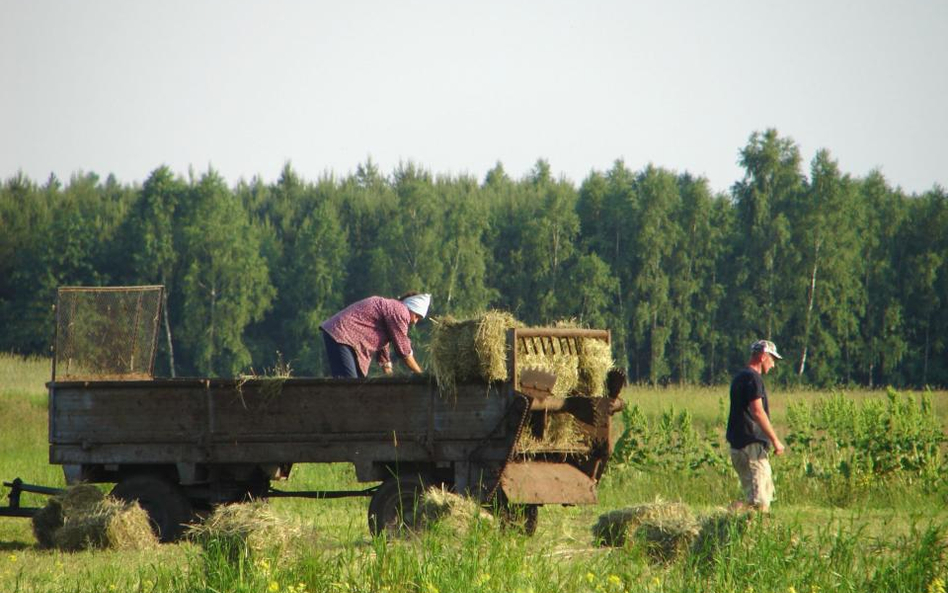 Mniej wypadków i mniej odszkodowań z KRUS