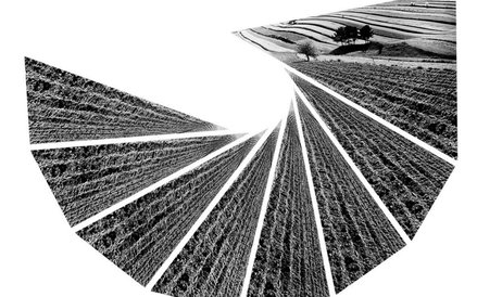 Paweł Pierściński, „Rozeta I”, 1984, montaż wielokrotny, seria „Rekonstrukcja krajobrazu. MULTIPLIKA