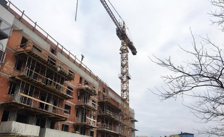 Nowe Ogrody zgodnie z harmonogramem