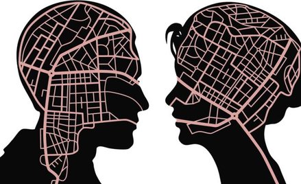 Mózgi kobiece, męskie i mądre
