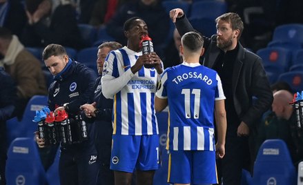 Piłkarze Brighton w czasie meczu Premier League