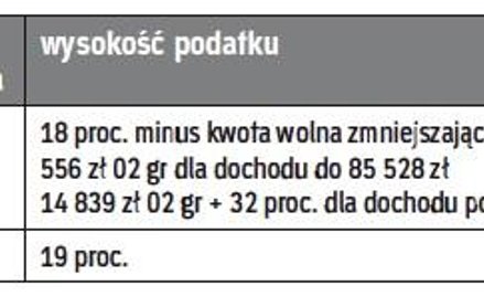 Możliwości opodatkowania przychodów z najmu w ramach działalności gospodarczej