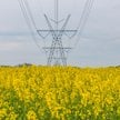 Sytuację właścicieli działek ze słupami i rurociągami zmienił wyrok Trybunału Konstytucyjnego z 2 gr