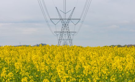 Sytuację właścicieli działek ze słupami i rurociągami zmienił wyrok Trybunału Konstytucyjnego z 2 gr
