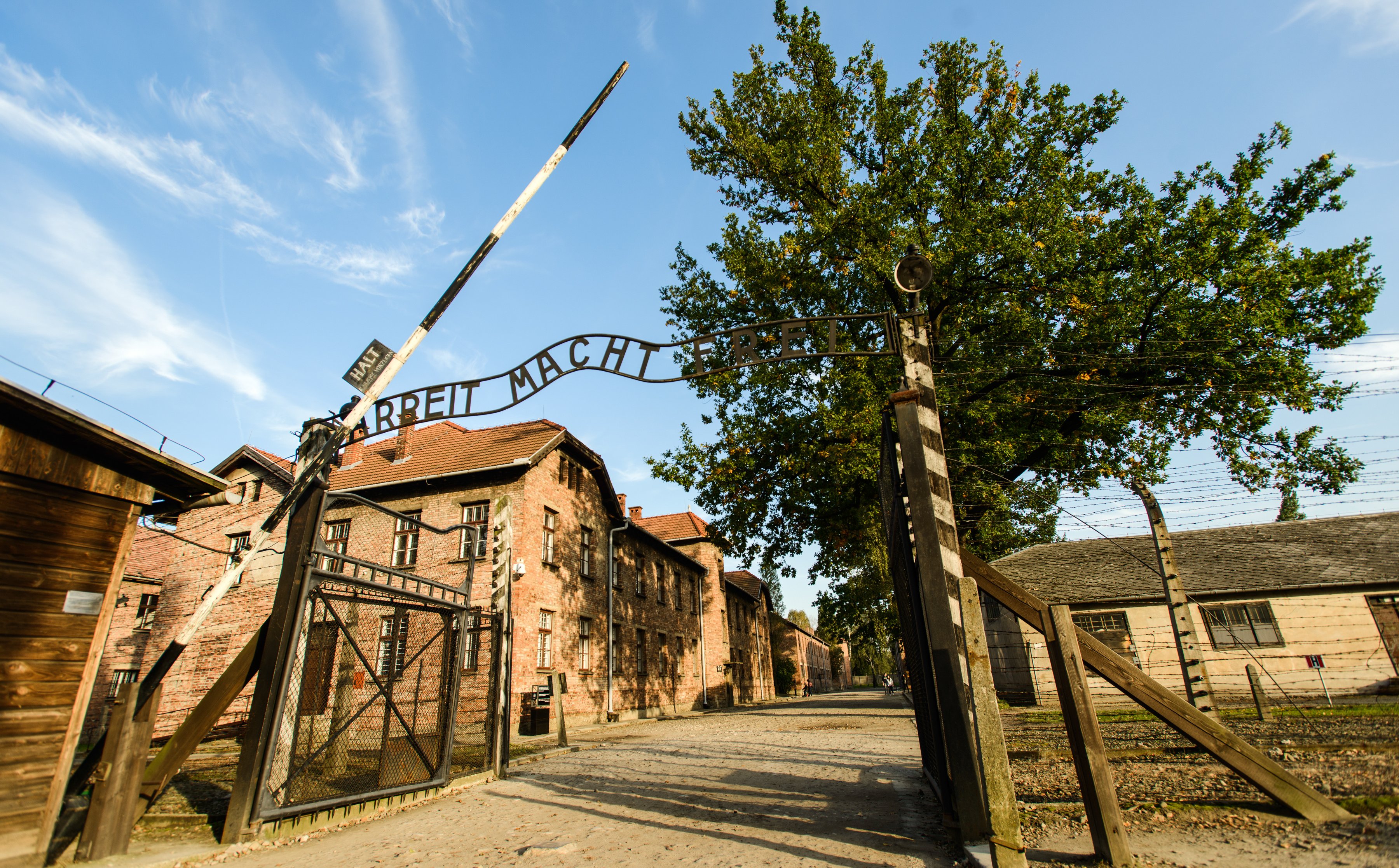 Muzeum Auschwitz i prawnicy potępiają upiększanie krążących w sieci "zdjęć" ofiar Holokaustu