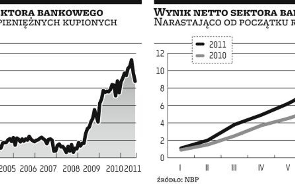 Polskie banki unikają europejskich kłopotów