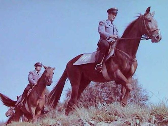 W Warszawie odział konnej Milicji Obywatelskiej powstał w 1972 – powołano wówczas Pluton Konny z 22 