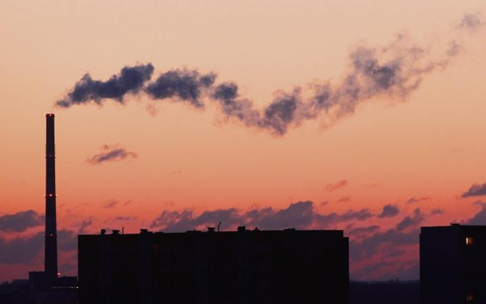 Niezbędne są centralne regulacje na rzecz poprawy środowiska, szczególnie jakości powietrza, podkreś