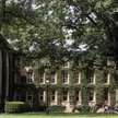 Amerykański Princeton University uchodzi za jedną z najbardziej prestiżowych – i najlepszych – uczel