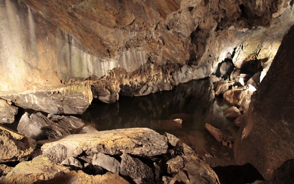 Jaskinie w Han-sur-Lesse w Belgii