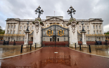 Pod Pałacem Buckingham aresztowano podejrzanego mężczyznę