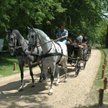 Park Mużakowski gwarantuje wiele rozrywek