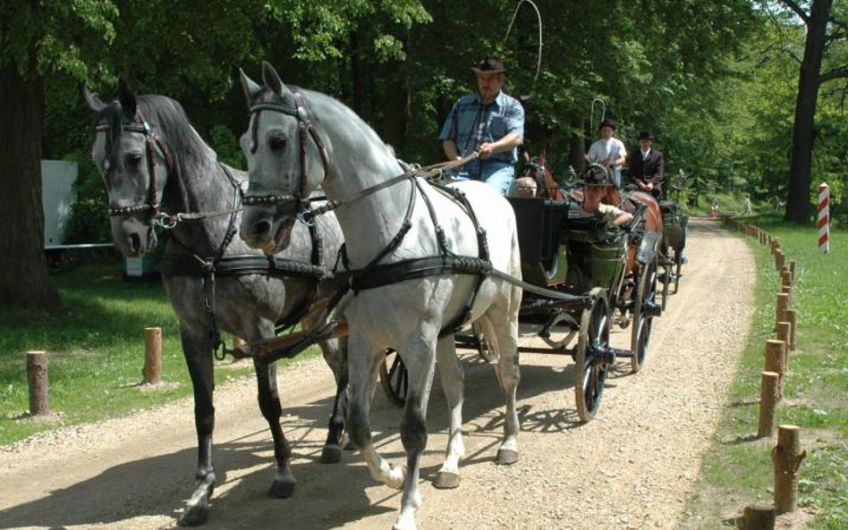 Park Mużakowski gwarantuje wiele rozrywek