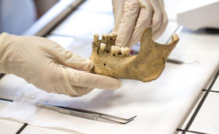 Muzea nie dla pruderyjnych