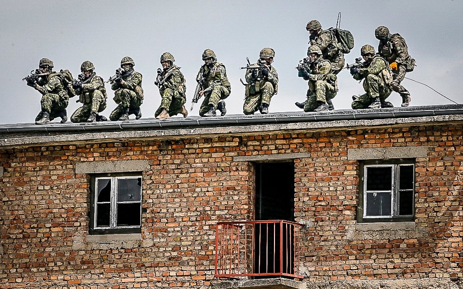 Anakonda-16 na poligonie w Wędrzynie