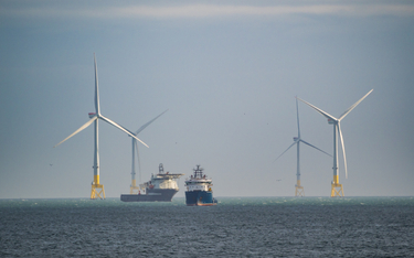 Morskie farmy wiatrowe 125-krotnie lepsze od gazu i ropy. Także dla podatników