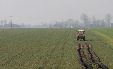 Dopłaty do gruntów rolnych