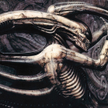Ksenomorf, czyli „Obcy…”
