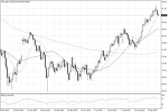 Notowania ropy naftowej WTI – dane dzienne