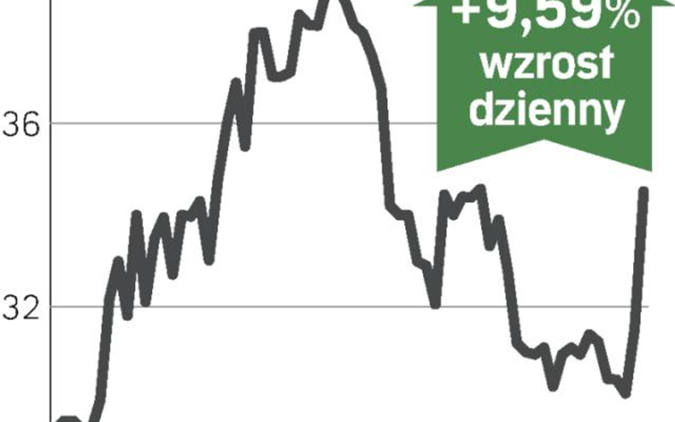 Dobre wyniki podbijają notowania