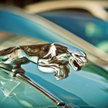 Jaguar Land Rover szuka partnera