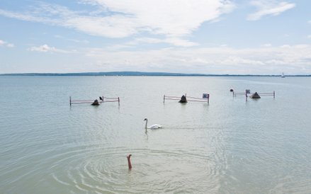 Przyroda (zdjęcie pojedyncze): 3. miejsce - Tomasz Padlo, freelancer