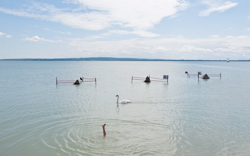 Przyroda (zdjęcie pojedyncze): 3. miejsce - Tomasz Padlo, freelancer