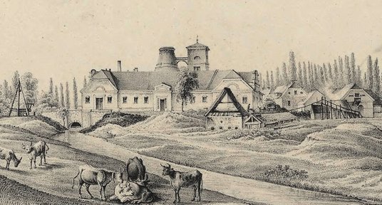 Szlama Efromowicz umyślił sobie, że w okolicy Choczu poprowadzi „fabrykę żelazną”. Nic z tego nie wy