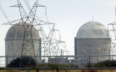 Elektrownie atomowe przewidywane w planach rządu miałyby zabezpieczyć 16 proc. naszego zapotrzebowan