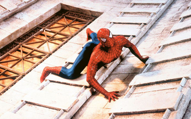„Spider-Man” (2002) był olbrzymim sukcesem kasowym, ale Sony nie potrafiło przekuć go w wieloletni, 