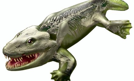 Najstarsze cztery łapy na lądzie