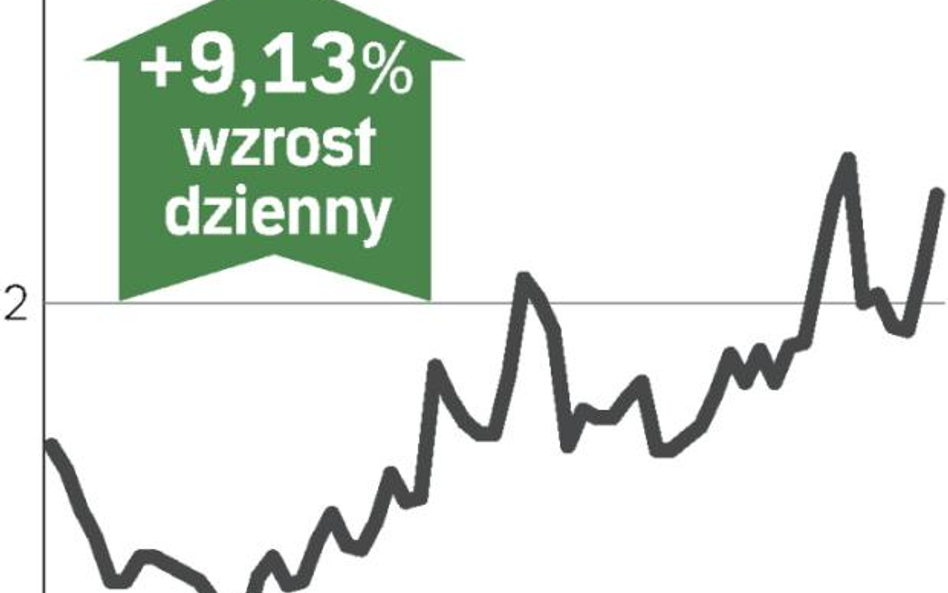 Projekt fuzji winduje notowania