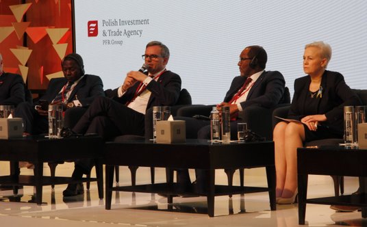 Krzysztof Drynda, prezes PAIH (z mikrofonem) wziął udział m.in. w sesji otwierajacej Polsko-Afrykańs