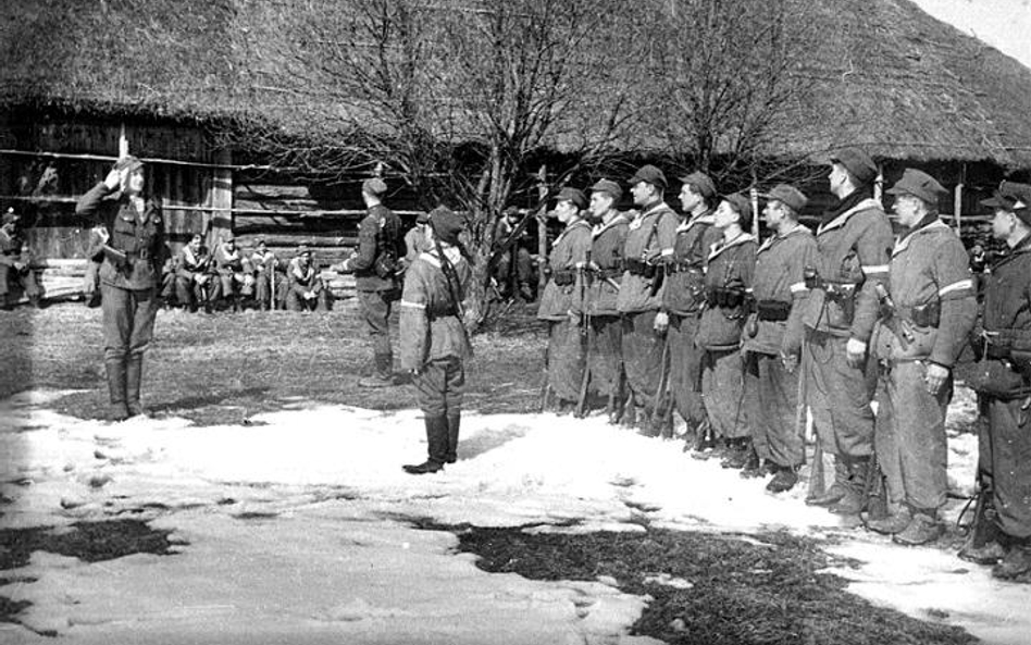 Żołnierze AK na Wileńsczyźnie, 1944 r.