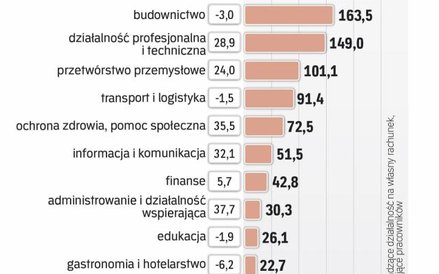 Mikrofirmy bez pracowników w 2015 r.