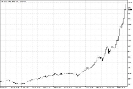 Notowania kakao w USA – dane dzienne