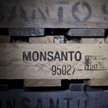 8 tys. pozwów w USA na Monsanto za glifozat