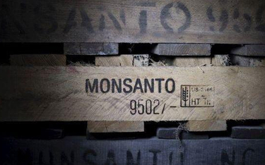 8 tys. pozwów w USA na Monsanto za glifozat
