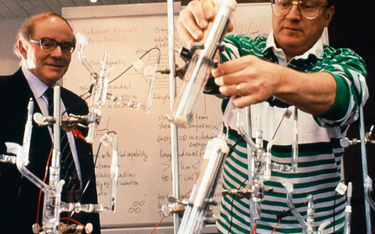 Swoje doświadczenia z zimną fuzją Fleischmann i Pons przeprowadzili w prostym laboratorium