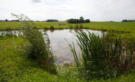 Samorządy źle oceniają oddziaływanie na środowisko